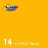 14 - Forsythia Orange