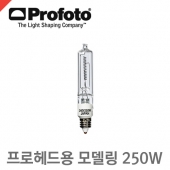 프로포토 250W, 240V Halogen Mini-can /프로헤드용 모델링