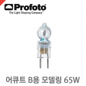 프로포토 65 W, 12 V Halogen /어큐트B용 모델링
