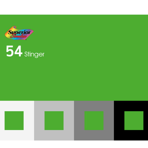 54 - Stinger