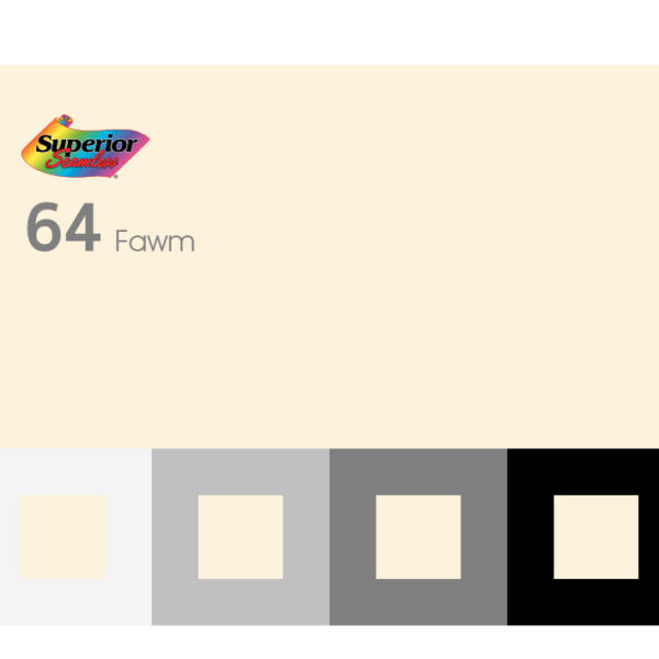 64 - Fawn